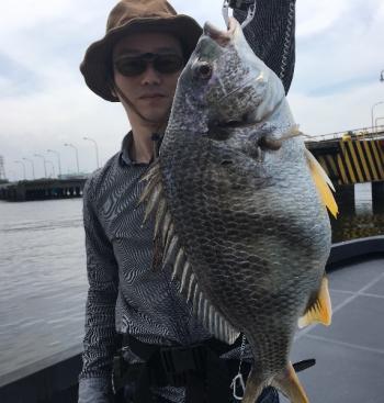 シーマジカル 釣果