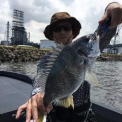 シーマジカル 釣果