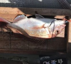 白墨丸 釣果