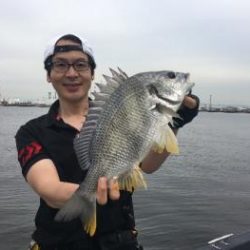 シーマジカル 釣果