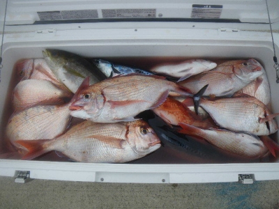 磯部釣船 直栄丸 釣果