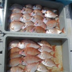 磯部釣船 直栄丸 釣果