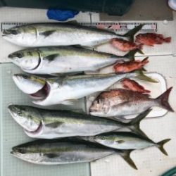 さぶろう丸 釣果