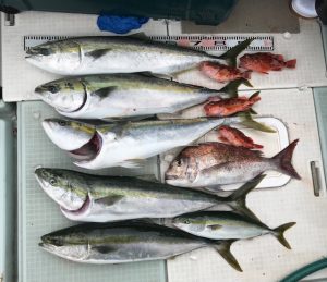 さぶろう丸 釣果