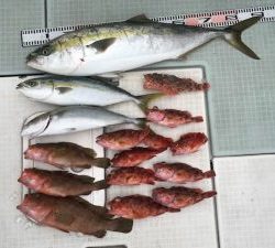 さぶろう丸 釣果