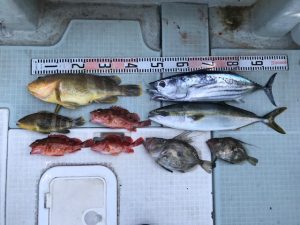 さぶろう丸 釣果