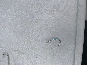 さぶろう丸 釣果