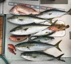 さぶろう丸 釣果