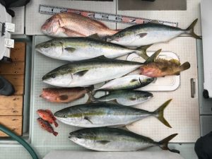 さぶろう丸 釣果