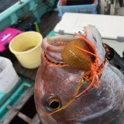 三吉丸 釣果
