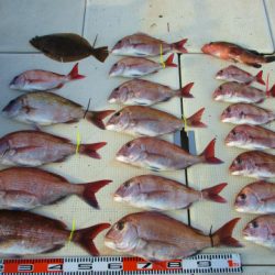 フィッシングガイド とちぎ 釣果