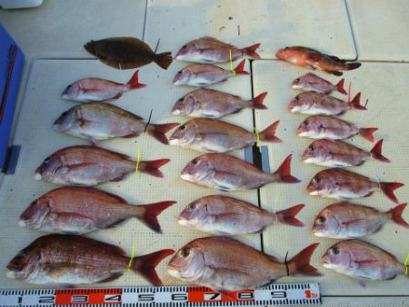 フィッシングガイド とちぎ 釣果