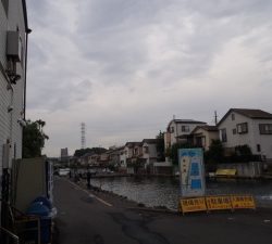 朝霞ガーデン 釣果