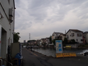 朝霞ガーデン 釣果