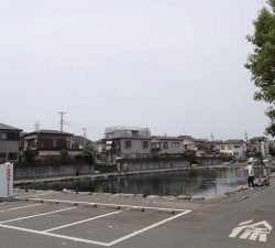 朝霞ガーデン 釣果