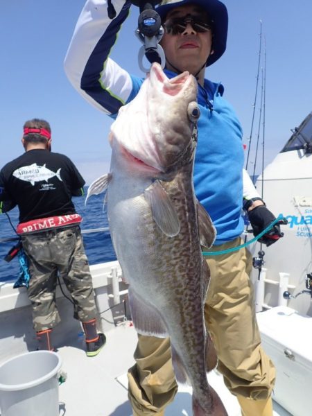 Aquanaut(アクアノート) 釣果