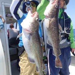 Aquanaut(アクアノート) 釣果