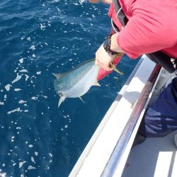 Aquanaut(アクアノート) 釣果