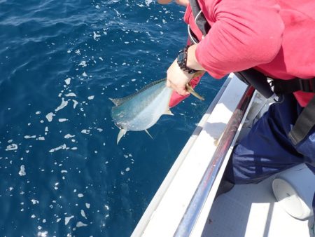 Aquanaut(アクアノート) 釣果