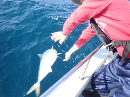 Aquanaut(アクアノート) 釣果