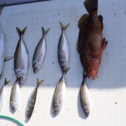 Aquanaut(アクアノート) 釣果