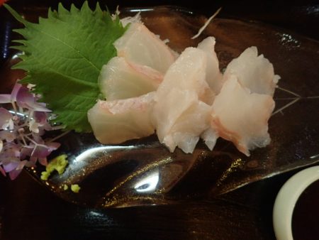 Aquanaut(アクアノート) 釣果