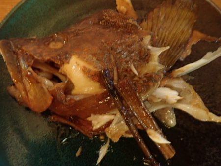 Aquanaut(アクアノート) 釣果