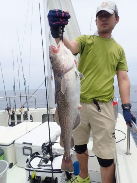 Aquanaut(アクアノート) 釣果