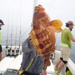 Aquanaut(アクアノート) 釣果