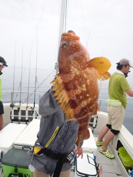 Aquanaut(アクアノート) 釣果