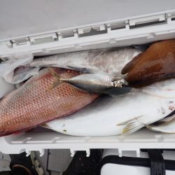 Aquanaut(アクアノート) 釣果