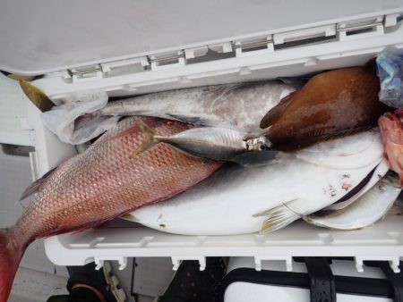 Aquanaut(アクアノート) 釣果