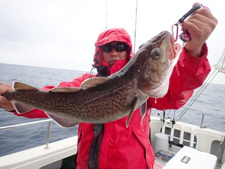 Aquanaut（アクアノート） 釣果