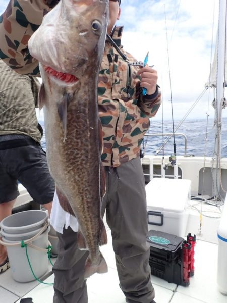 Aquanaut(アクアノート) 釣果