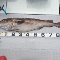 Aquanaut(アクアノート) 釣果