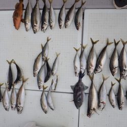 Aquanaut(アクアノート) 釣果