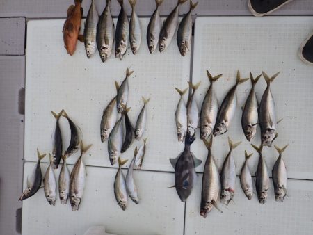 Aquanaut(アクアノート) 釣果