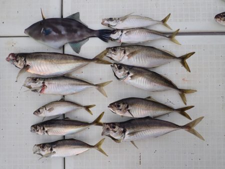 Aquanaut(アクアノート) 釣果