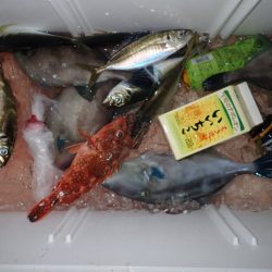 Aquanaut(アクアノート) 釣果