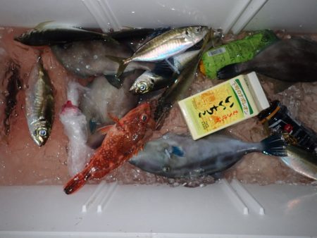 Aquanaut(アクアノート) 釣果