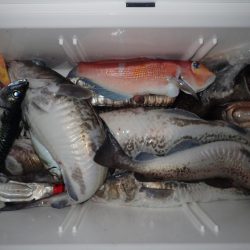 Aquanaut(アクアノート) 釣果