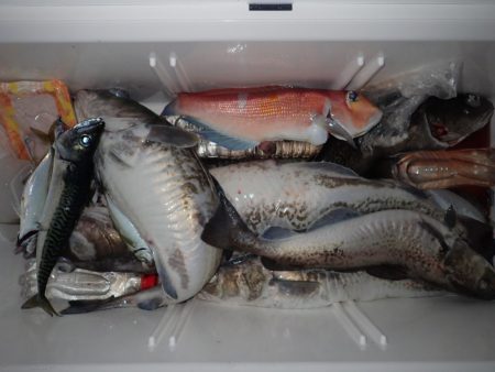 Aquanaut(アクアノート) 釣果