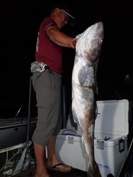 Aquanaut(アクアノート) 釣果