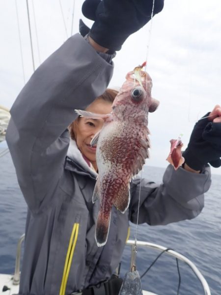 Aquanaut(アクアノート) 釣果