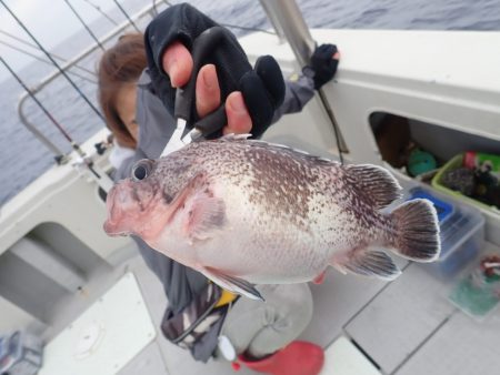 Aquanaut(アクアノート) 釣果