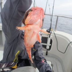 Aquanaut(アクアノート) 釣果