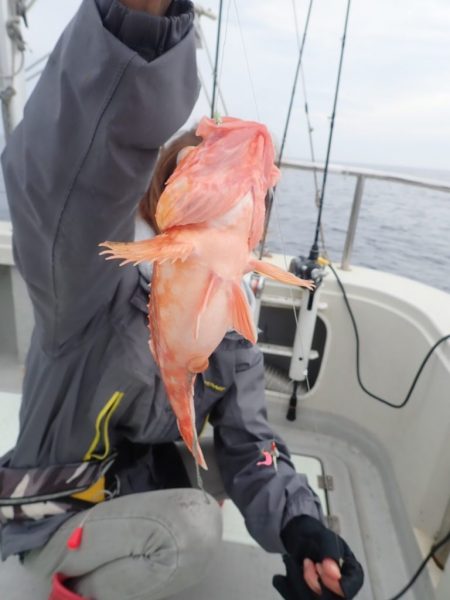 Aquanaut(アクアノート) 釣果