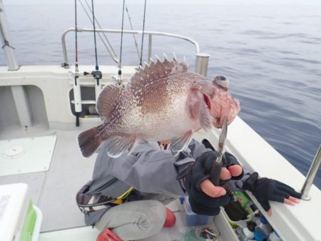 Aquanaut(アクアノート) 釣果