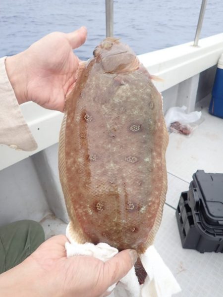 Aquanaut(アクアノート) 釣果