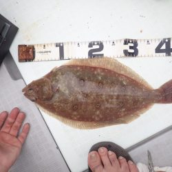 Aquanaut(アクアノート) 釣果